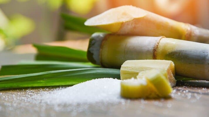 Sugarcane Bagasse Tight Shot